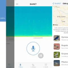 Aplikacja BirdNET do rozpoznawania ptaków. Na ekranie mapa Polski, spektrogram dźwięku i lista gatunków: Dymówka, Bogatka, Grzywacz, Pliszka.