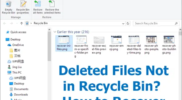 Widok Kosza z plikami do odzyskania, np. "recover-ini-files.png". Pomoc w odzyskiwaniu ostatnio usuniętych plików.